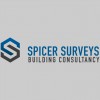 Spicer Surveys