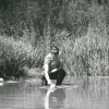 DSA Environment + Design